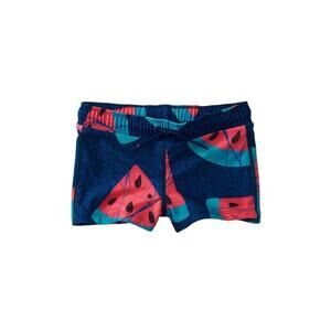 NEW Tea Collection Wax Print Watermelon Board Swim Shorts size 2